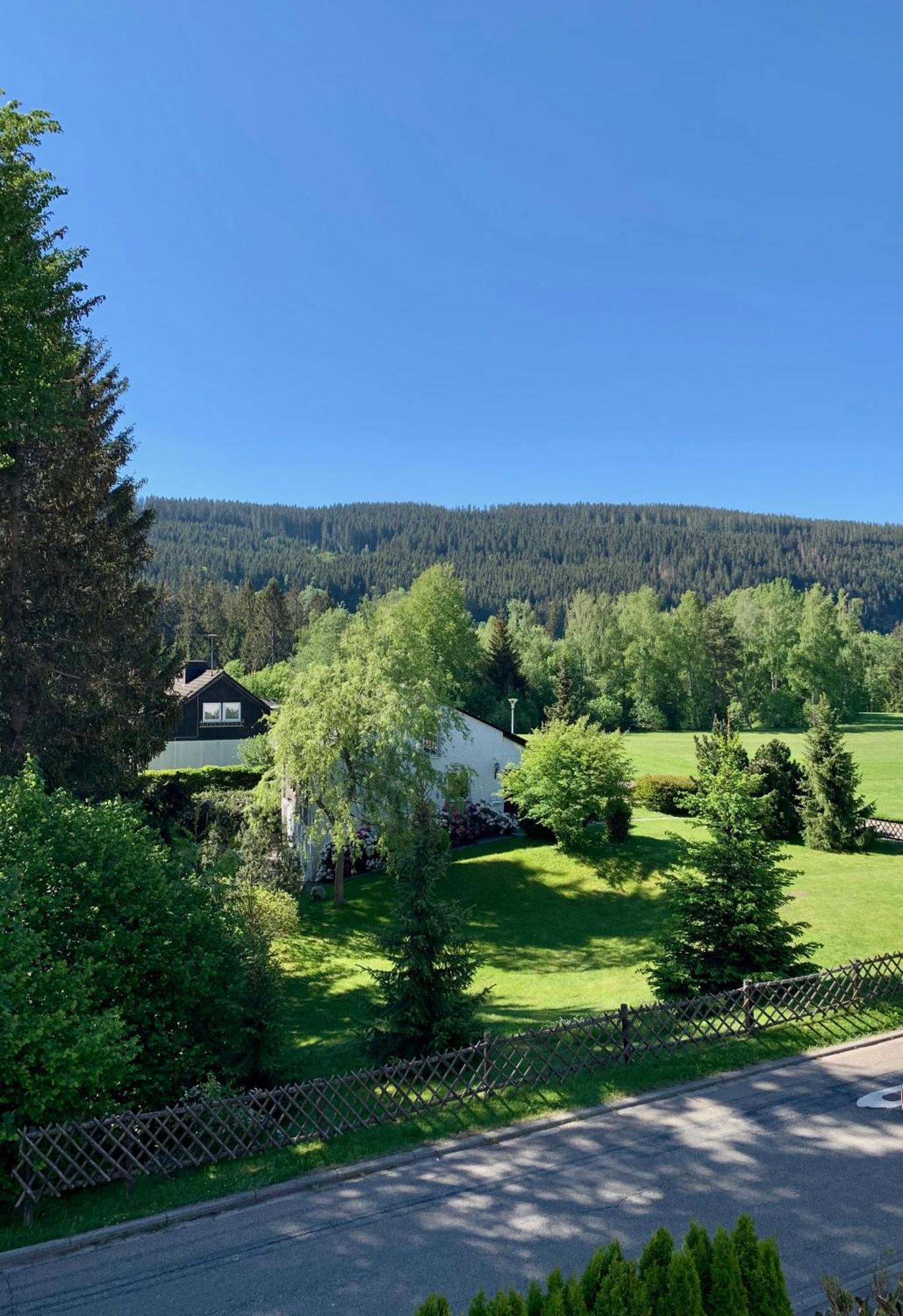 Ferienwohnung Homburger - Titisee Bagian luar foto