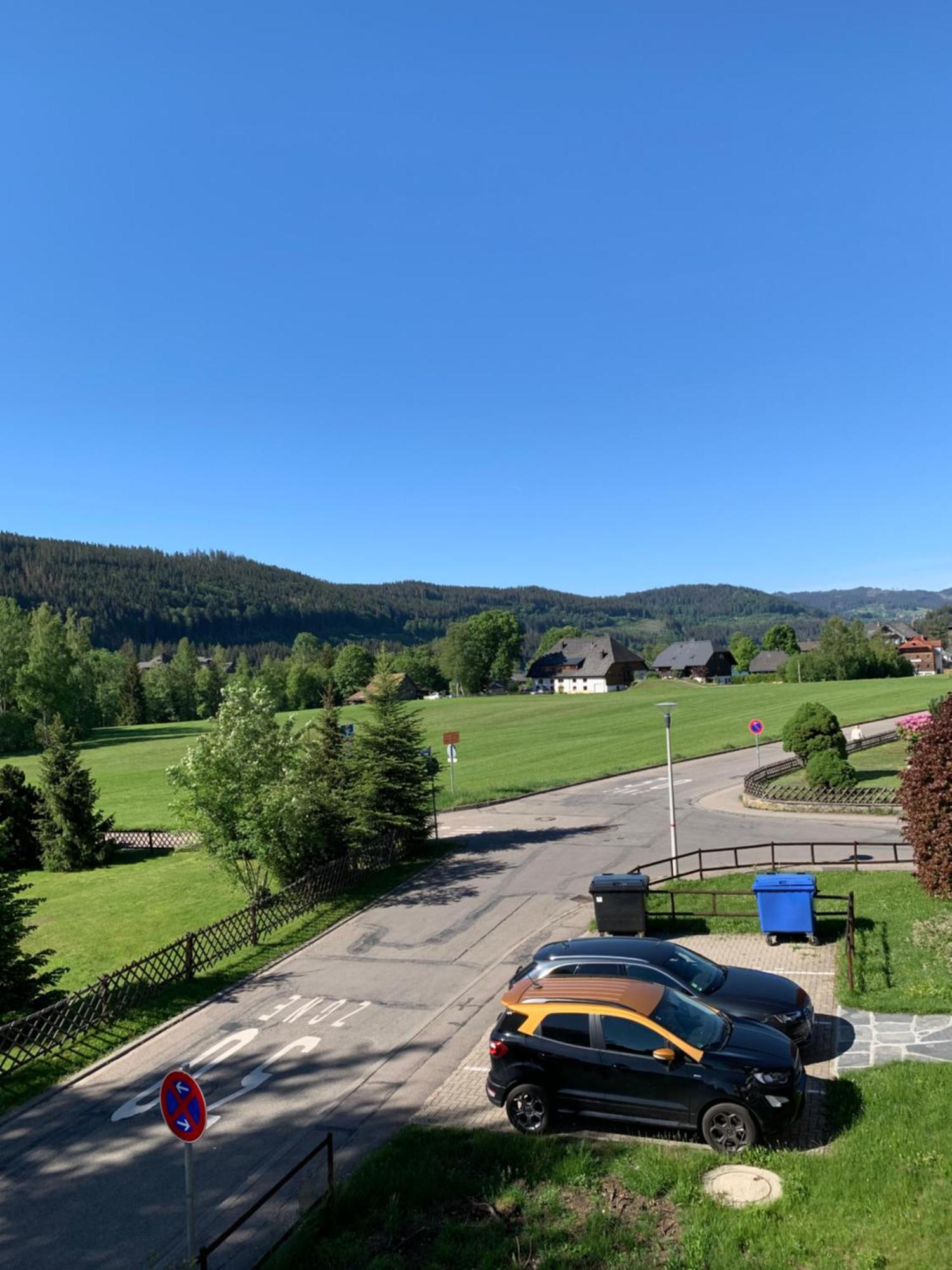 Ferienwohnung Homburger - Titisee Bagian luar foto